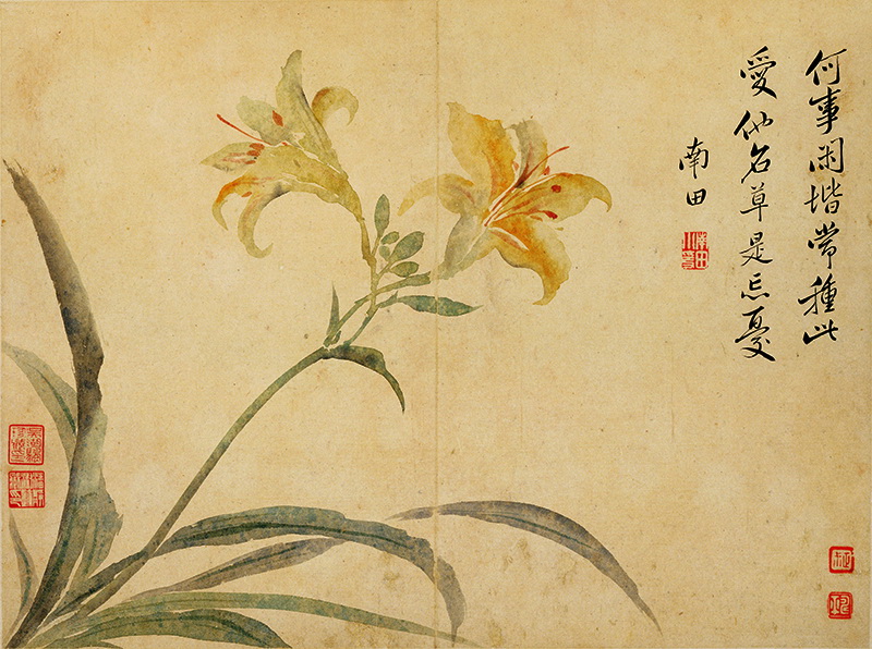 B2124024《花鸟草虫八开之七》清代画家恽寿平高清作品 清代-第1张