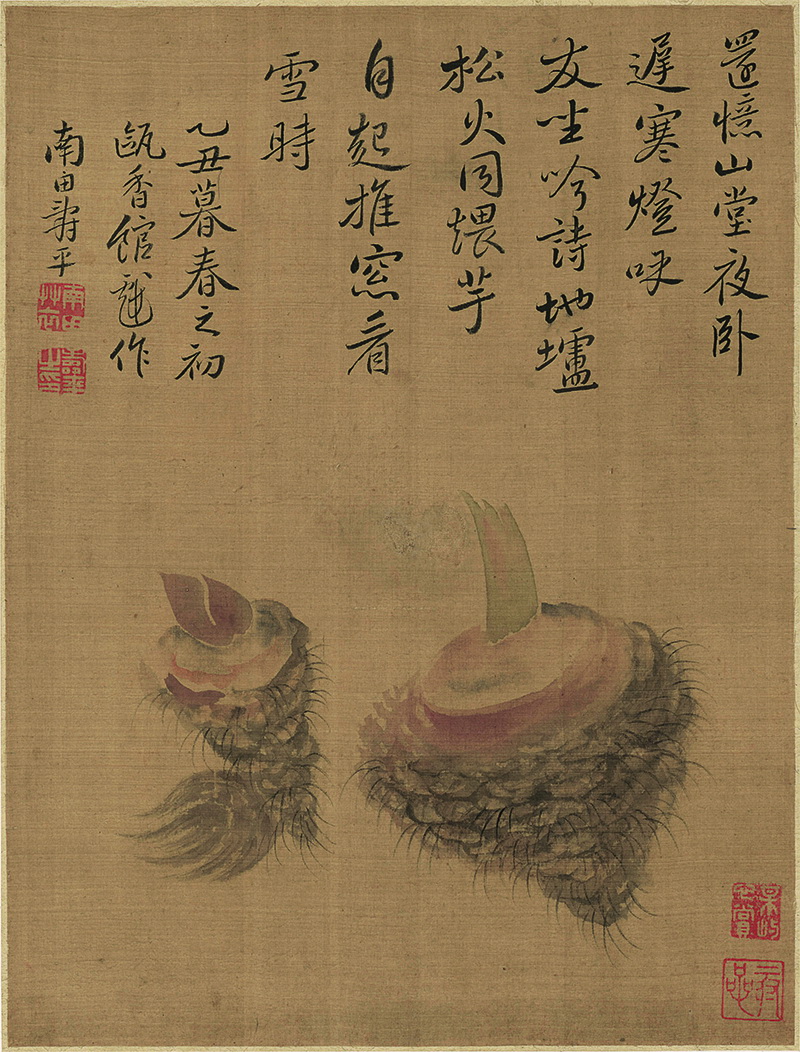 B2124031《花果蔬菜六开之六》清代画家恽寿平高清作品 清代-第1张