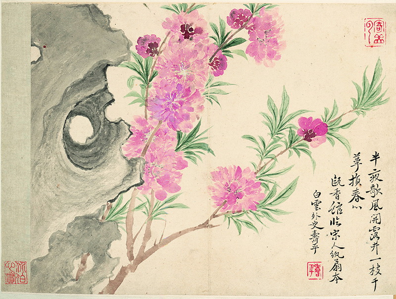 B2124047《花卉十开之一桃花石头图》清代画家恽寿平高清作品 清代-第1张