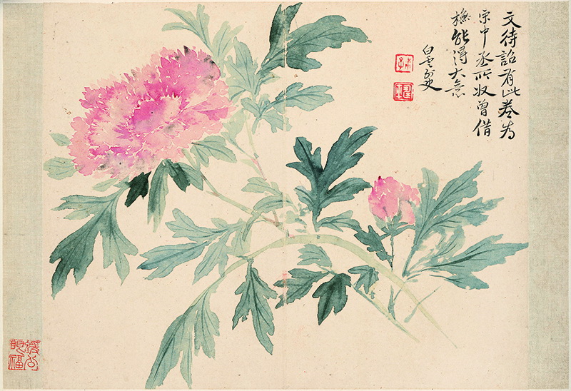 B2124050《花卉十开之四牡丹图》清代画家恽寿平高清作品 清代-第1张