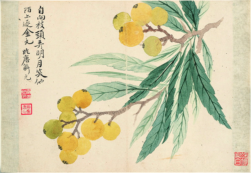 B2124051《花卉十开之五》清代画家恽寿平高清作品 清代-第1张