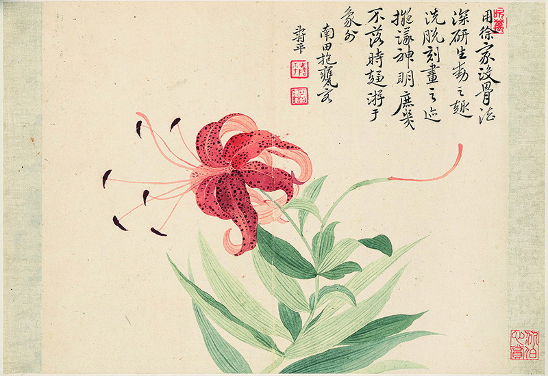 B2124052《花卉十开之六》清代画家恽寿平高清作品 清代-第1张