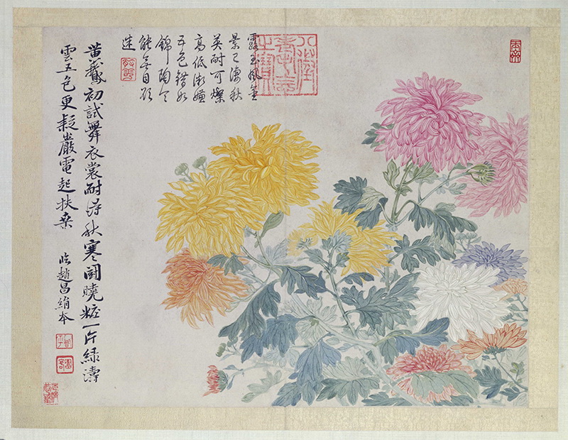 B2124102《山水花鸟图册之菊花》清代画家恽寿平高清作品 清代-第1张