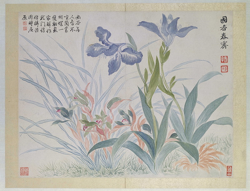 B2124103《山水花鸟图册之兰花蝴蝶花》清代画家恽寿平高清作品 清代-第1张