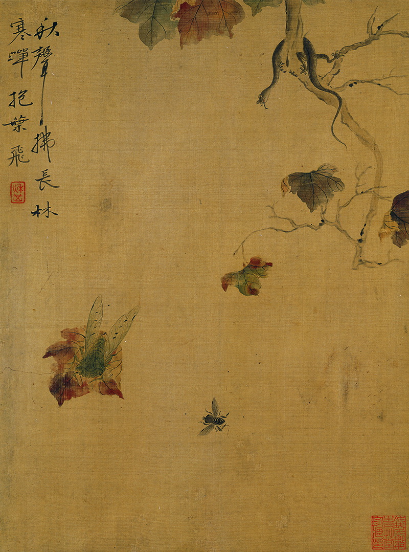 B2124123《花鸟草虫图之四》清代画家恽寿平高清作品 清代-第1张