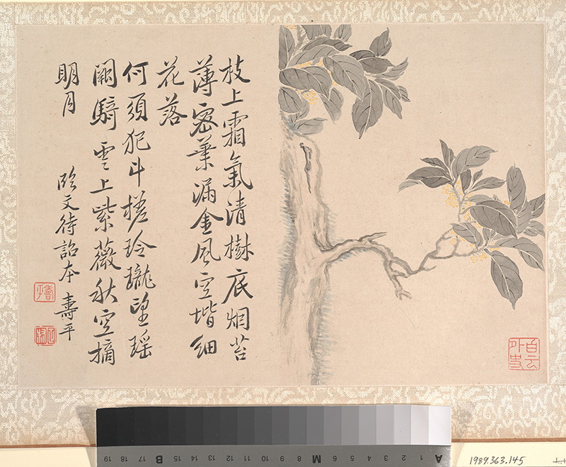 B2124149《临文徵明册 》清代画家恽寿平高清作品 清代-第1张