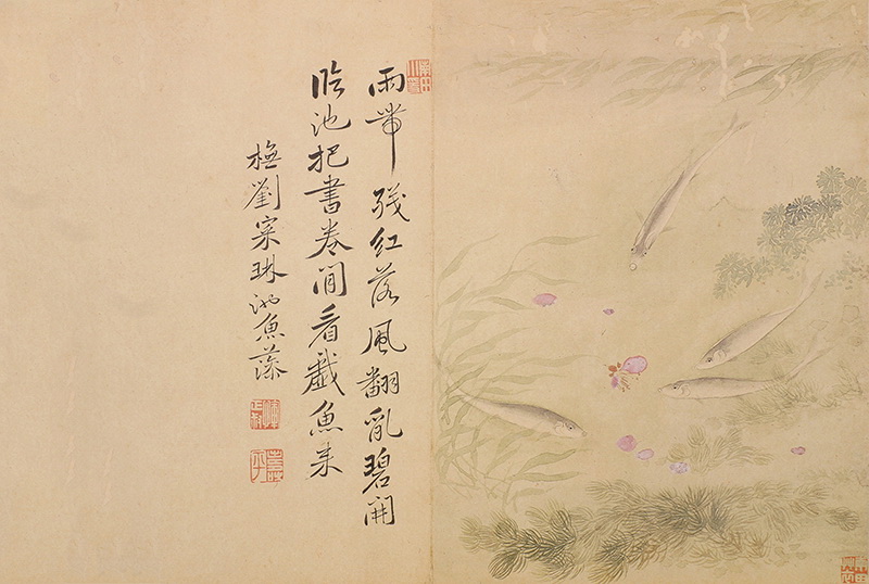 B2124150《落花游鱼（临刘寀）》清代画家恽寿平高清作品 清代-第1张