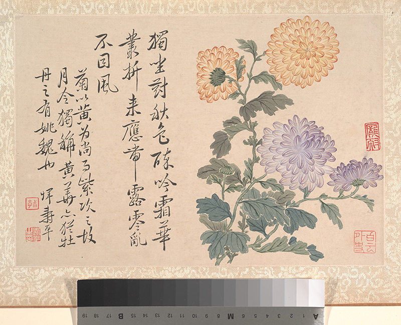 B2124151《牡丹册》清代画家恽寿平高清作品 清代-第1张