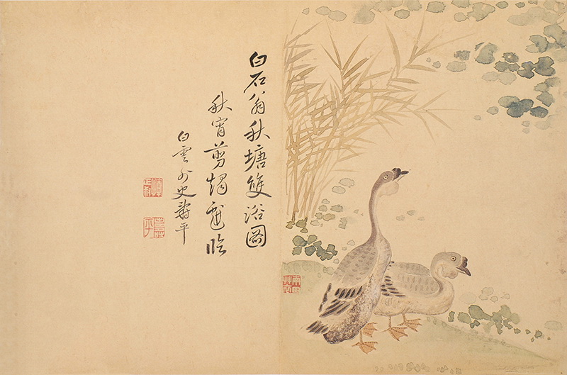 B2124155《秋塘双浴》清代画家恽寿平高清作品 清代-第1张