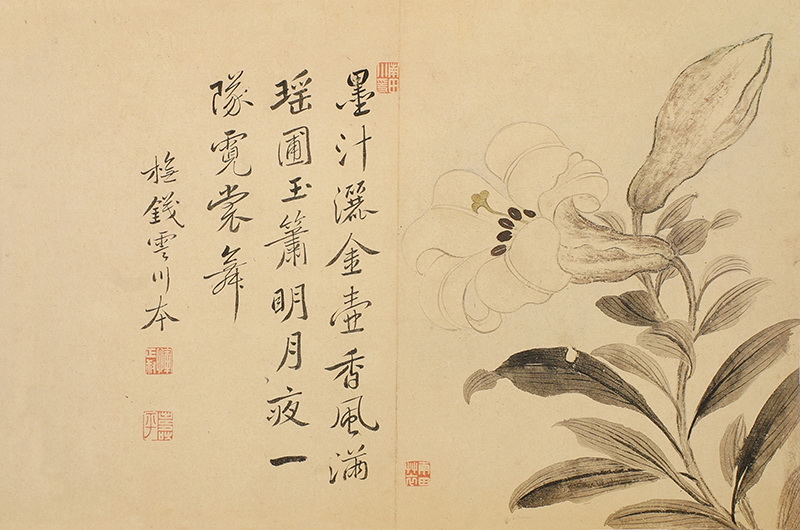 B2124156《洒金玉兰》清代画家恽寿平高清作品 清代-第1张