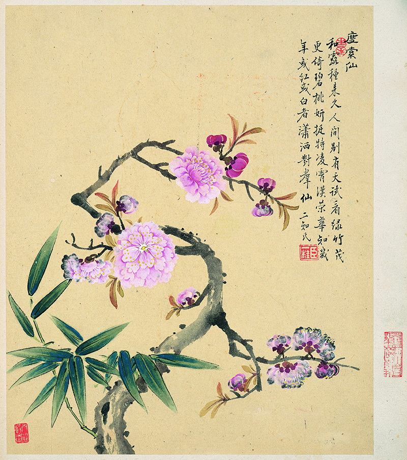 B2135001《花卉八开之一 竹子桃花图》清代画家邹一桂高清作品 清代-第1张