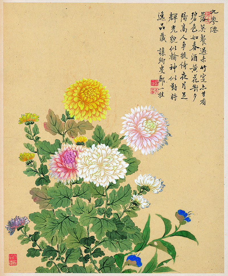 B2135005《花卉八开之五 菊花图》清代画家邹一桂高清作品 清代-第1张