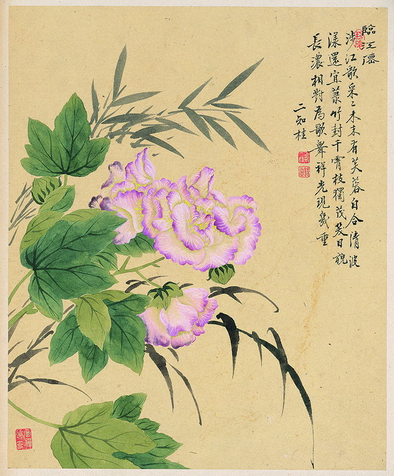 B2135006《花卉八开之六 芙蓉竹子图》清代画家邹一桂高清作品 清代-第1张