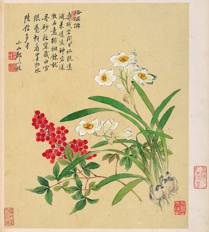 B2135008《花卉八开之八 天竺水仙》清代画家邹一桂高清作品 清代-第1张