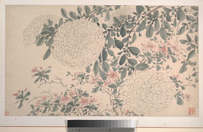 B3003002《花卉图之二》明代画家陈淳高清作品 明代-第1张