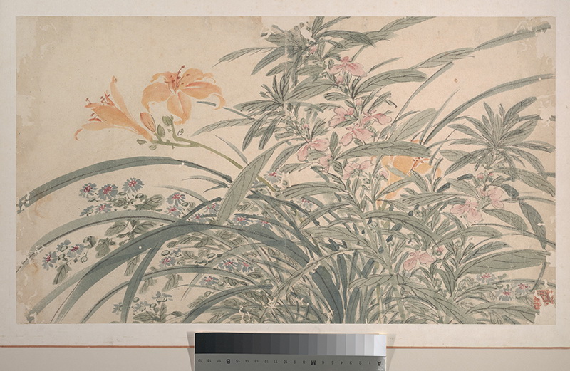 B3003010《花卉图之十》明代画家陈淳高清作品 明代-第1张