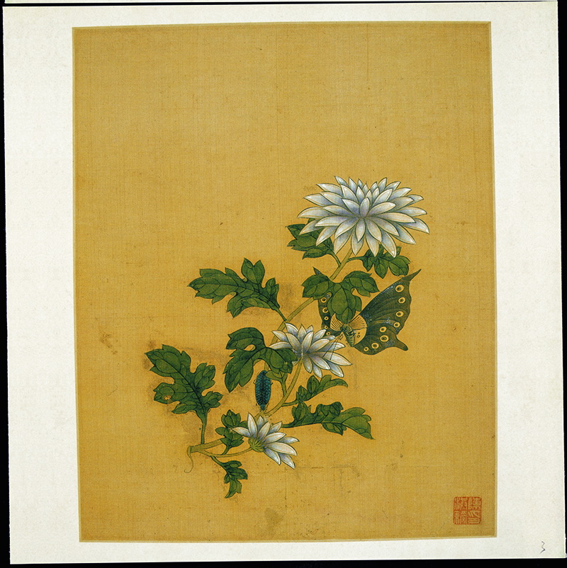 B3004046《花鸟草虫册之八》明代画家陈洪绶高清作品 明代-第1张