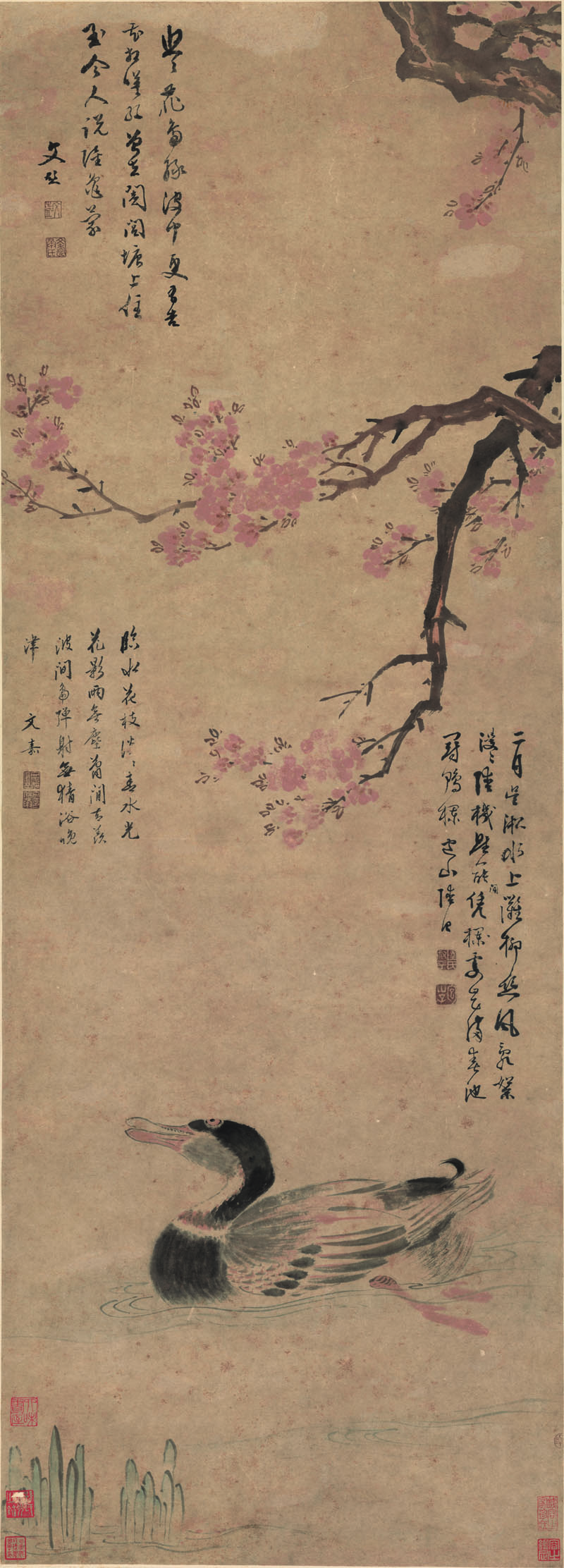 B3043001《花鸟图》明代画家陆包山高清作品 明代-第1张