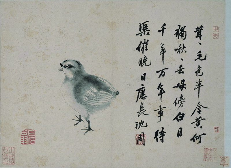 B3058015《雏鸡图》明代画家沈周高清作品 明代-第1张