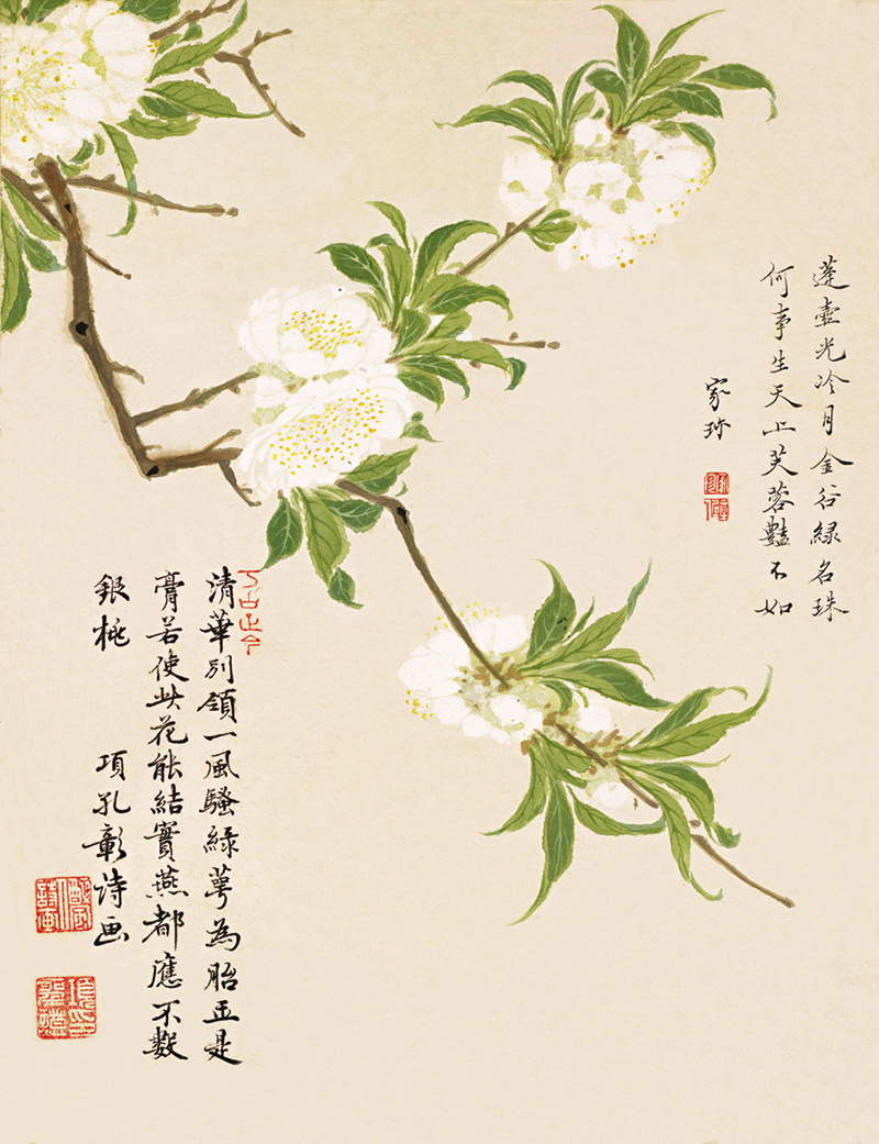 B3086005《花卉十开之五》明代画家项圣谟高清作品 明代-第1张