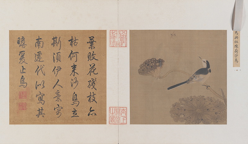 B5122190《疏荷沙鸟图》宋代画家（佚名）高清作品 宋代-第1张