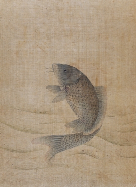 B2137081《鲤图页》清代画家（佚名）高清作品