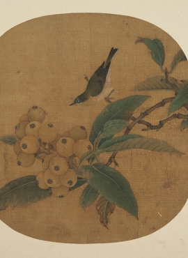 b3111035 枇杷绣眼图》明代画家(佚名(传吴炳)高清作品