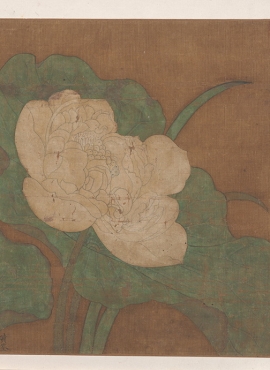 B3111036《莲花图》明代画家（佚名）（传黄筌）高清作品