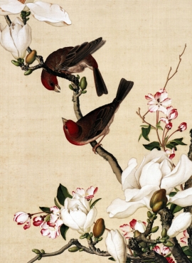 B2049084《仙萼长春图 海棠玉兰图》清代画家郎世宁高清作品