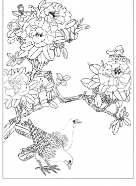 《工笔白描茶花图-2》高清白描作品