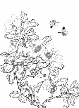 《工笔白描茶花图-32》高清白描作品