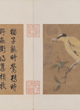B5122099《榴枝黄鸟图 》宋代画家（佚名）高清作品