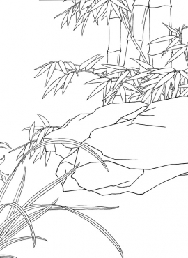 《工笔白描兰花图-32》高清白描作品