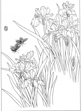 《工笔白描兰花图-55》高清白描作品