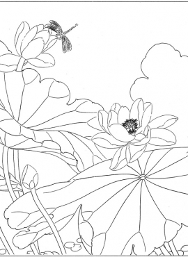 《工笔白描荷花图-13》高清白描作品