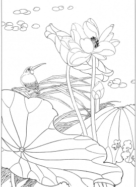 《工笔白描荷花图-21》高清白描作品