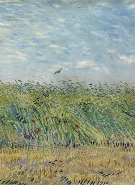 a001427《麦田上的云雀》荷兰画家文森特·梵高高清作品