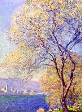 a002190《樱花树·印象》法国画家克劳德·莫奈高清作品