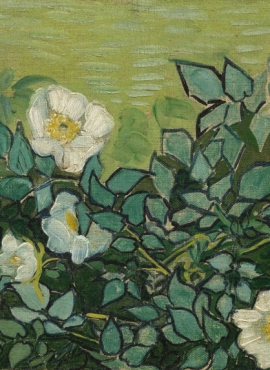 a001505《野玫瑰》荷兰画家文森特·梵高高清作品