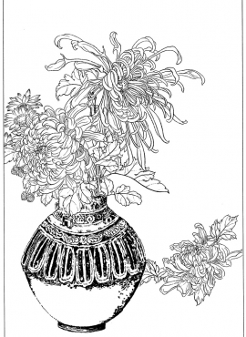 《工笔白描菊花图-22》高清白描作品