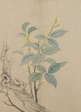 b2124005《花卉图(六幅)五桂花图》清代画家恽寿平高清作品